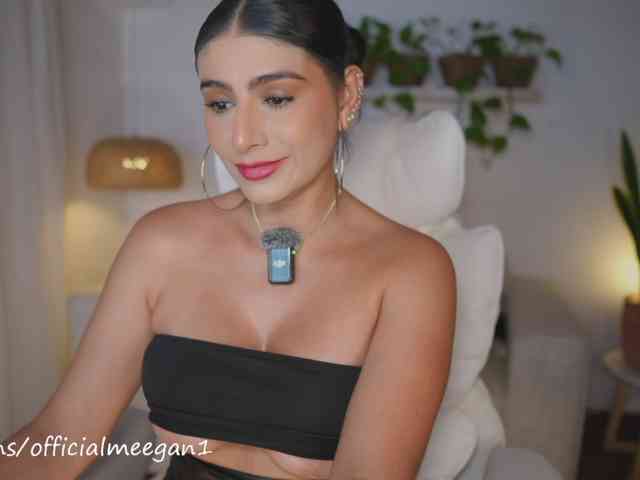 Meegan webcam