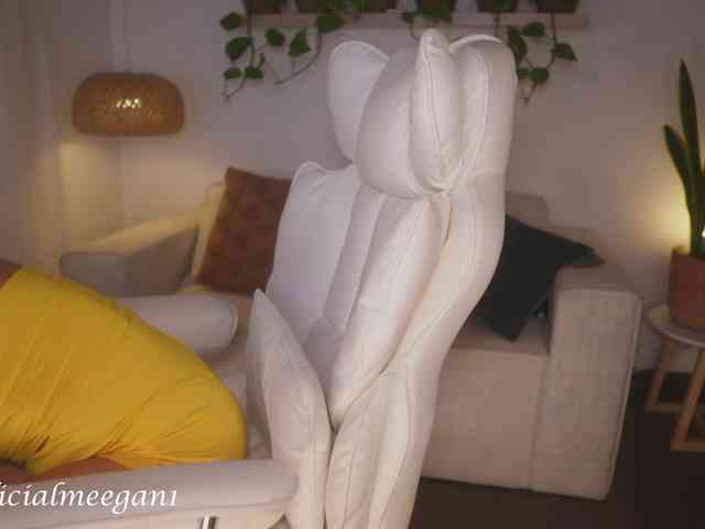 Meegan