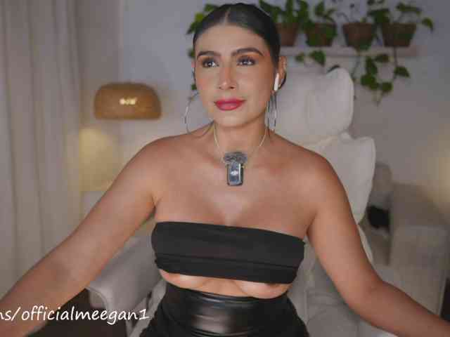 Meegan webcam