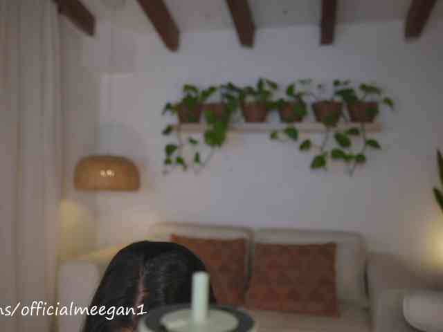 Meegan webcam