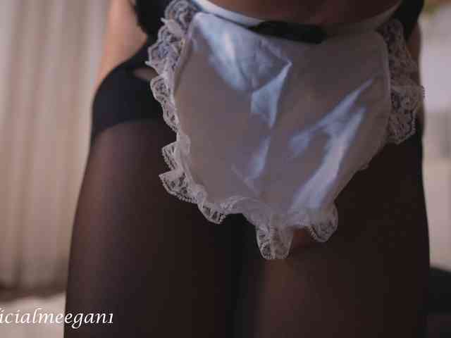 Modelo: Meegan