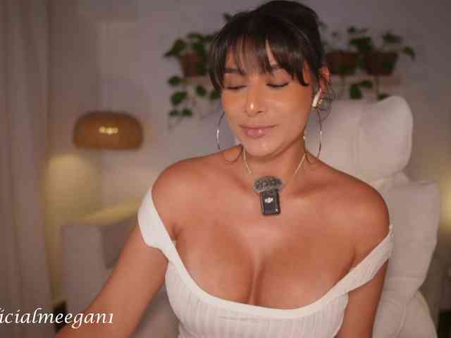Modelo: Meegan