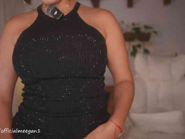Modelo: Meegan