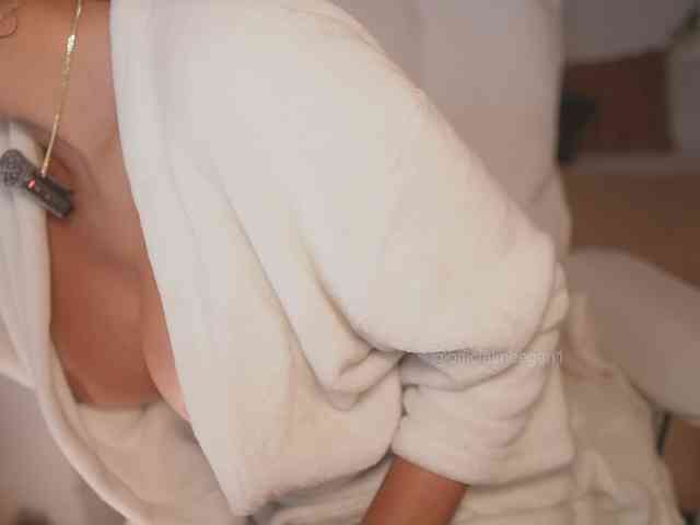 Modelo: Meegan
