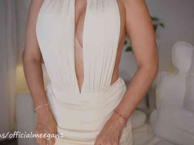Modelo: Meegan