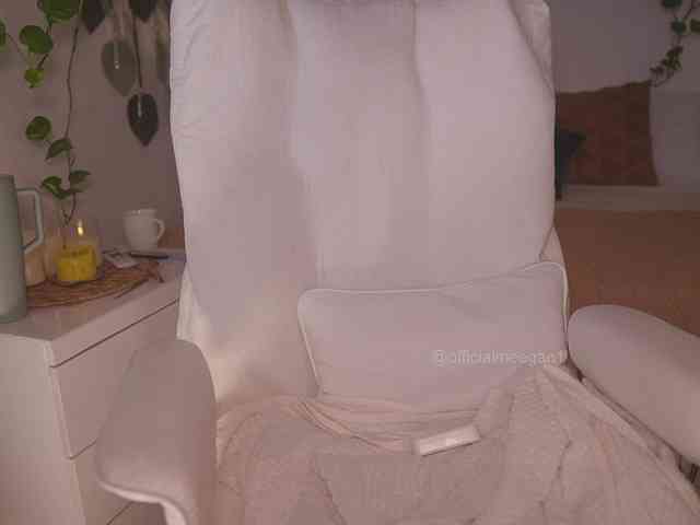Meegan webcam