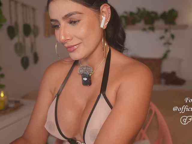 Modelo: Meegan