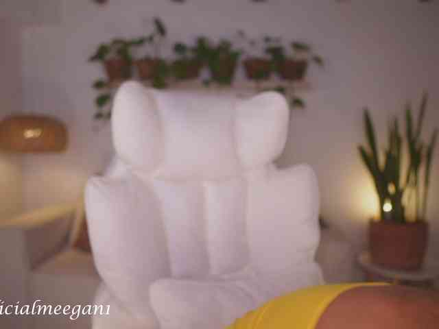 Modelo: Meegan