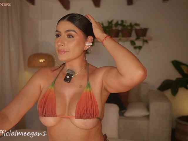 Modelo: Meegan