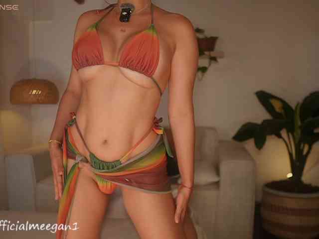 Meegan webcam