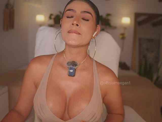 Modelo: Meegan