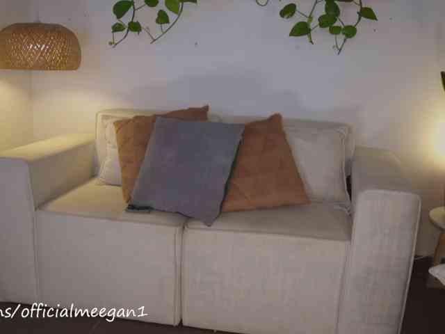 Meegan webcam