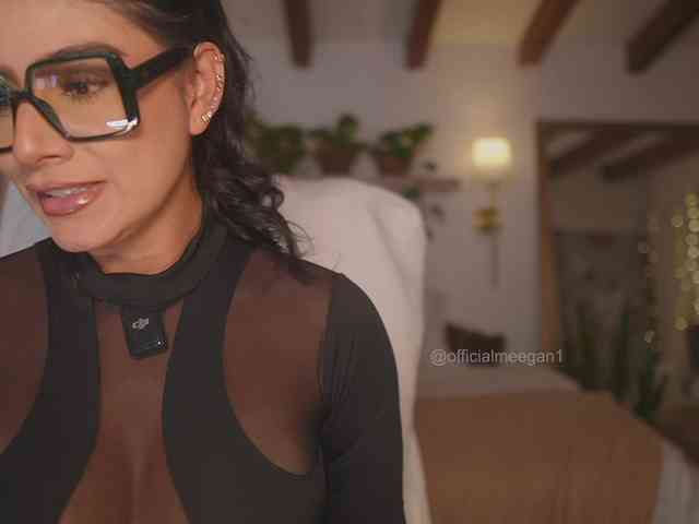 Model: Meegan