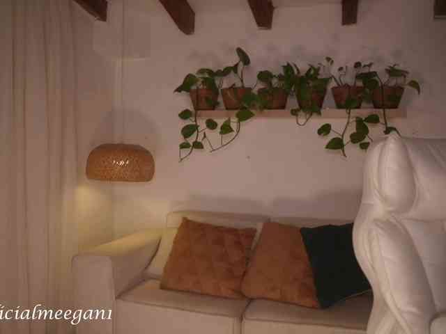 Modelo: Meegan