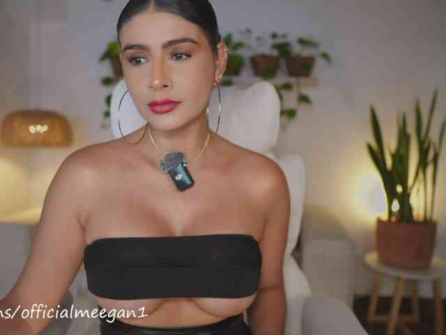 Modelo: Meegan
