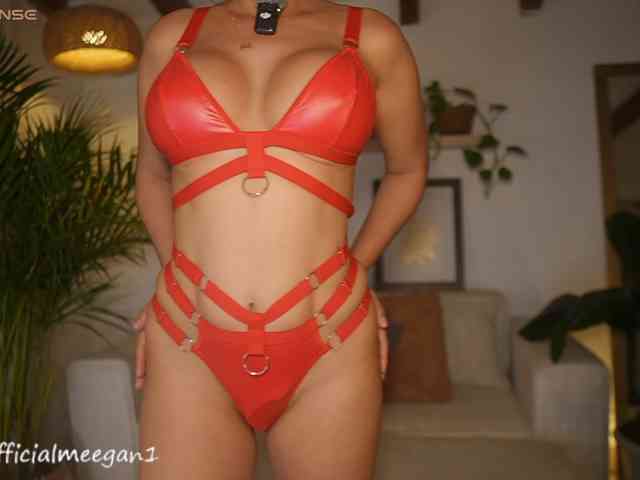 Modelo: Meegan