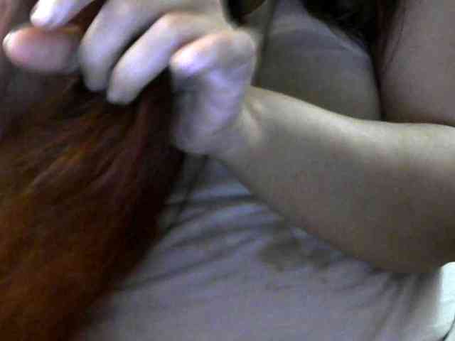 Ria07 webcam