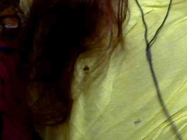Ria07 webcam