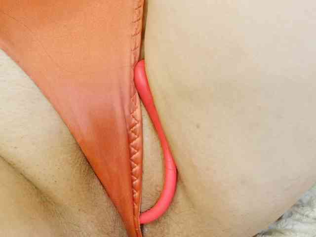 hotmiamix webcam