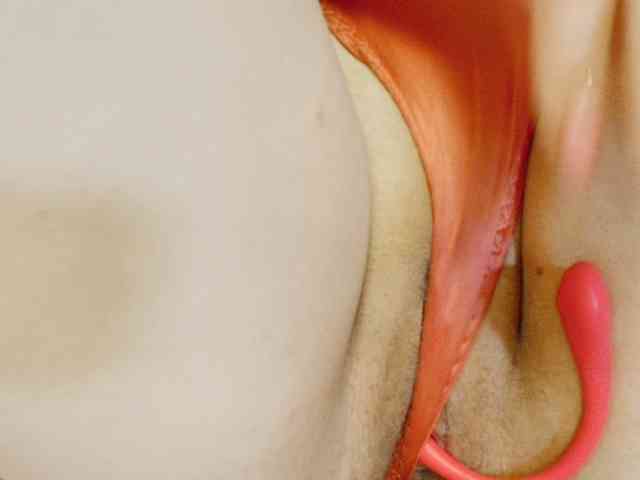 hotmiamix webcam