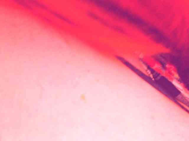 secretbella webcam