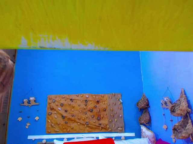 AdaBlake live webcam show