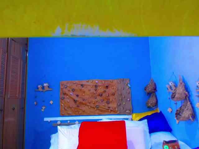 AdaBlake webcam
