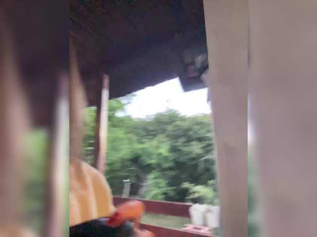 Alisasqrl