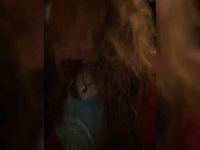 Alisasqrl webcam
