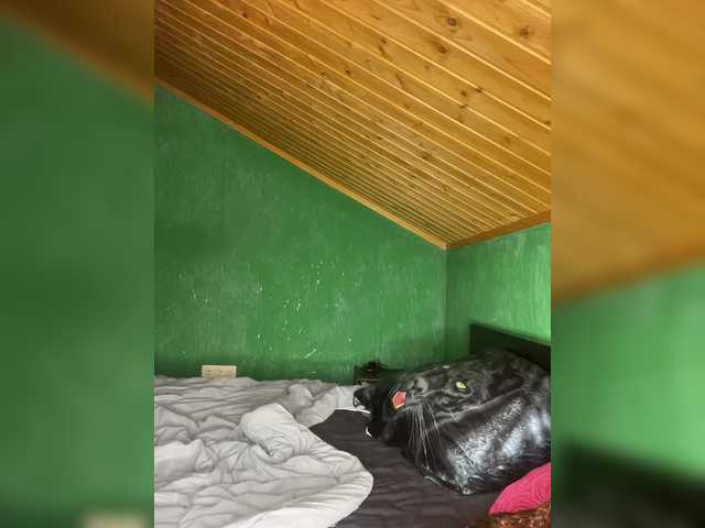 Vishenkakiss's BongaCams profile