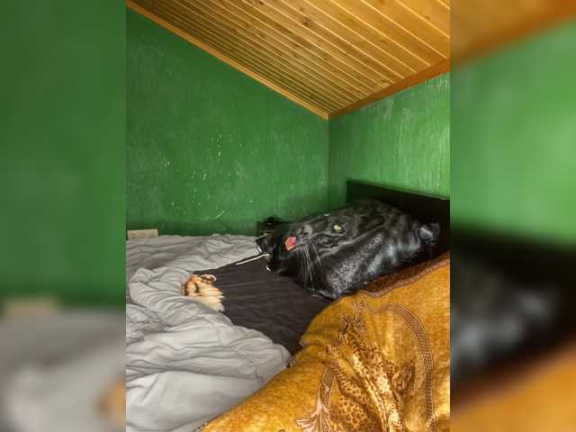 Vishenkakiss's BongaCams show and profile