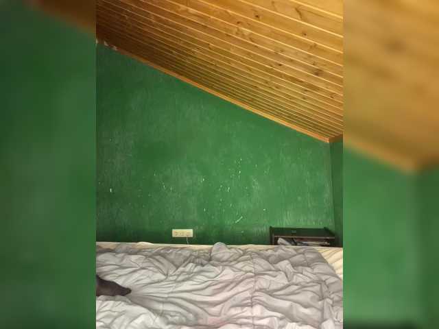 Vishenkakiss