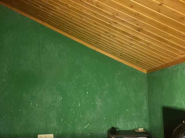  Vishenkakiss chat room