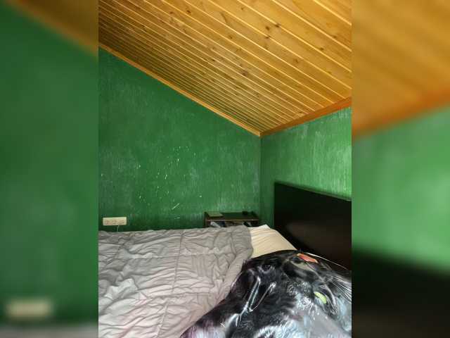 Vishenkakiss
