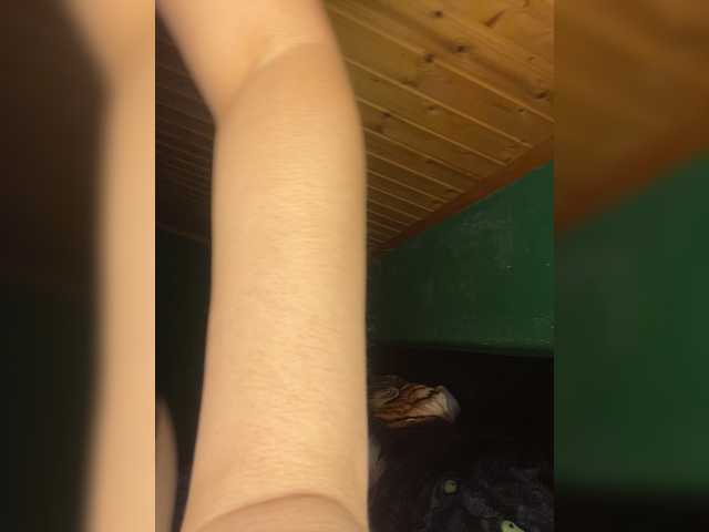 Vishenkakiss — live female cam