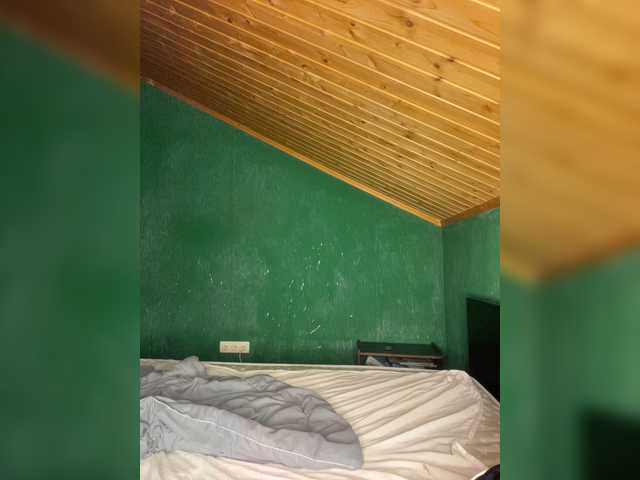 Vishenkakiss