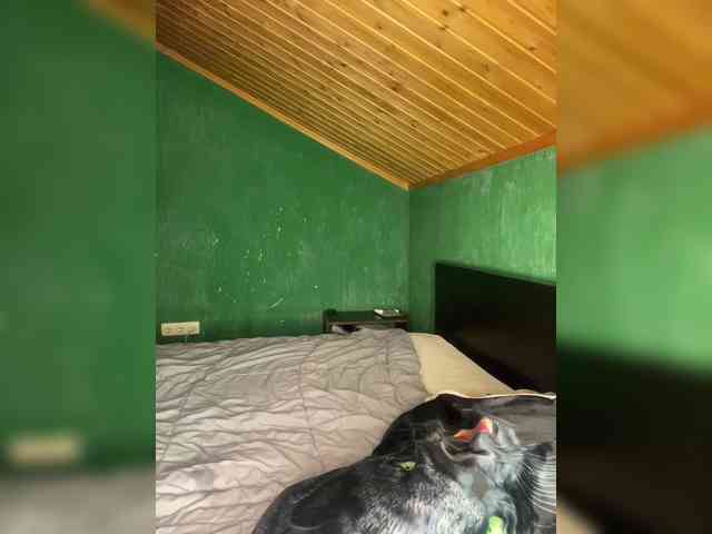 Vishenkakiss webcam