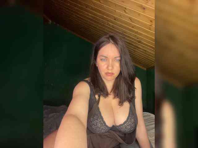 Модель: Vishenkakiss