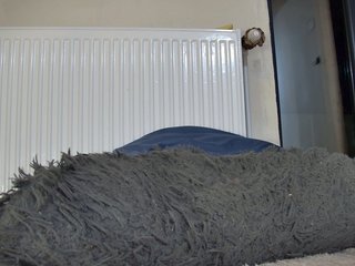 curvyana Porn Show