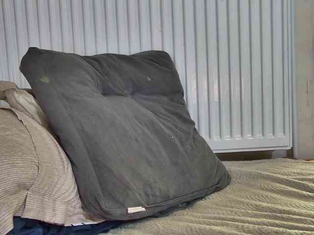 curvyana webcam