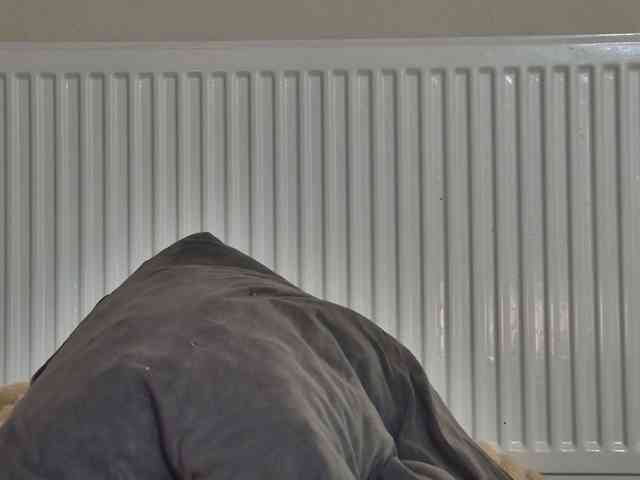 curvyana webcam