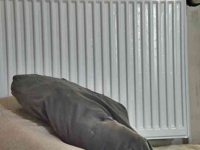 curvyana webcam