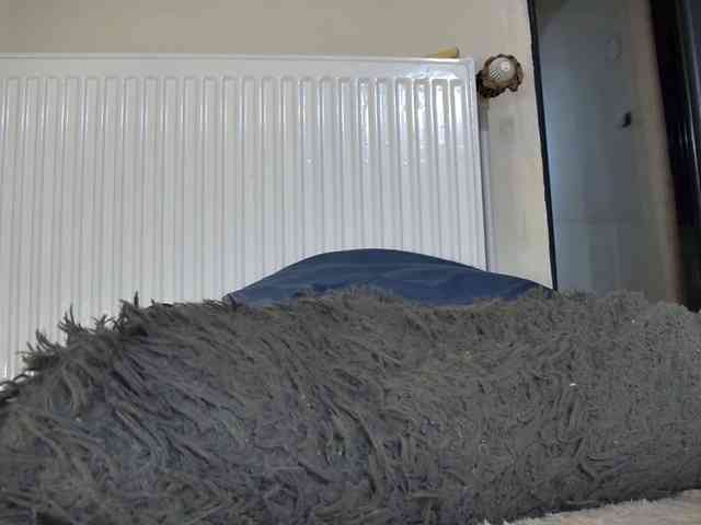 curvyana webcam