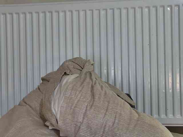 curvyana webcam