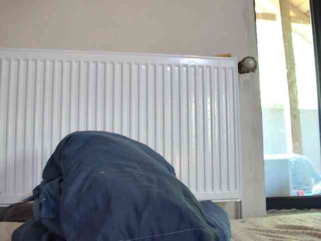 curvyana webcam