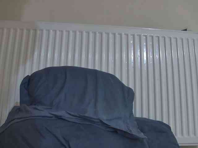 curvyana webcam