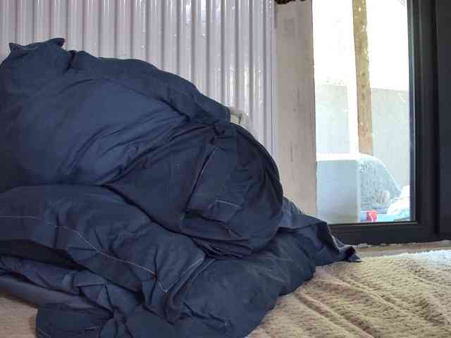 curvyana curvyana