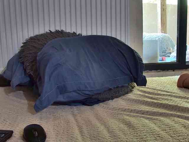 curvyana webcam