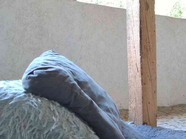 curvyana webcam