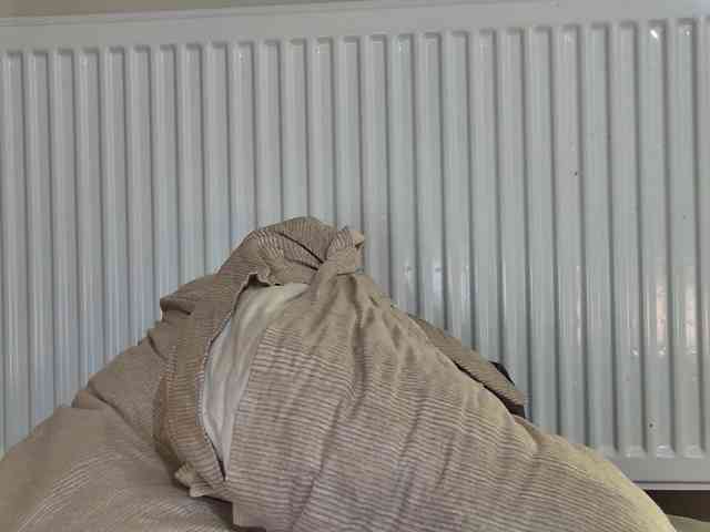 curvyana webcam